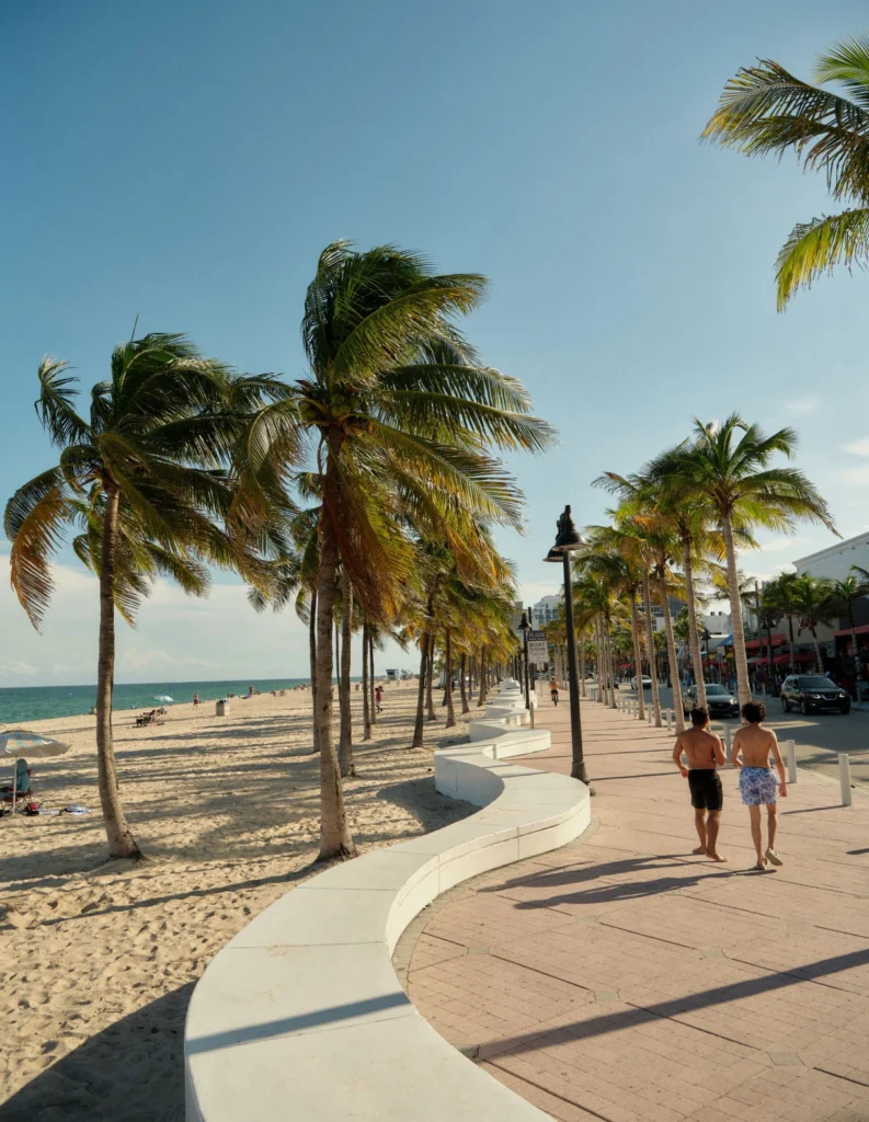 people walking on palm tree lined boardwalk alongside beach